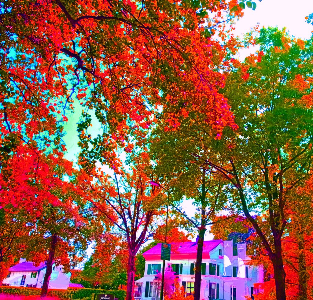 Photo Driebergen-00035