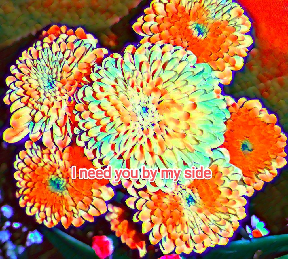 Photo Fyori Posetive-00042