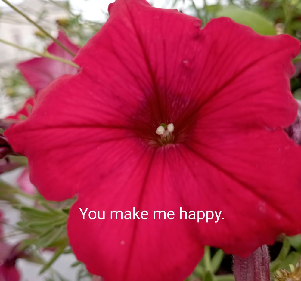 Photo Fyori Posetive-00041