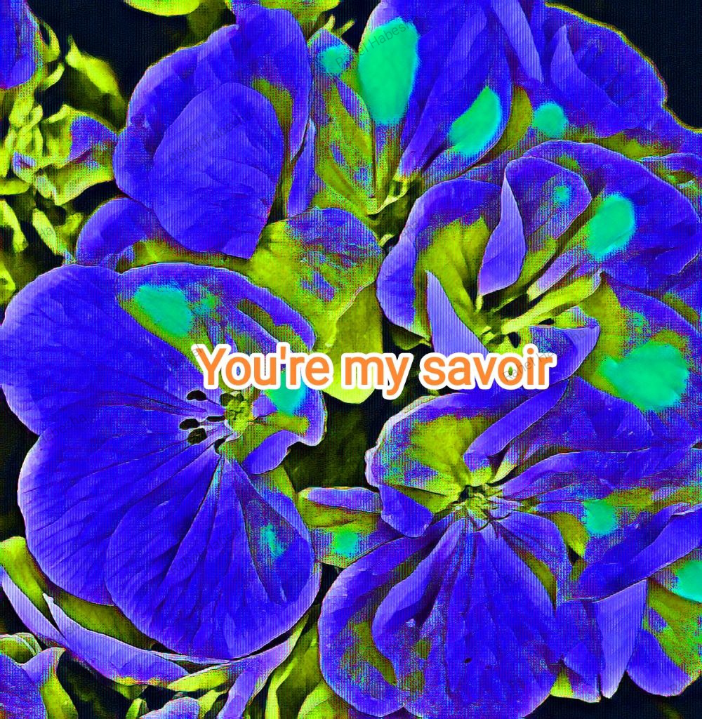 Photo Fyori Posetive-00040