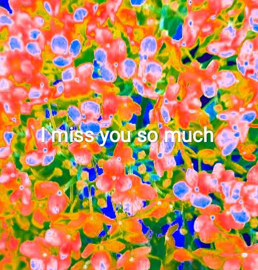 Photo Fyori Posetive-00045