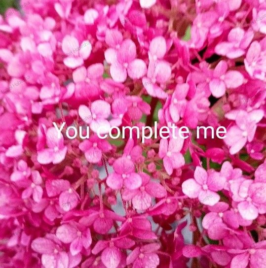 Photo Fyori Posetive-00037