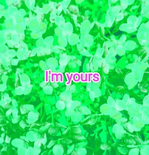 Photo Fyori Posetive-00034