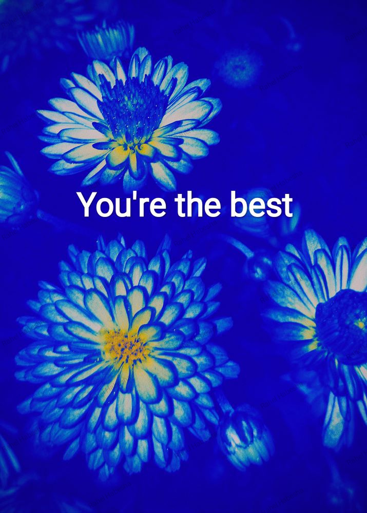 Photo Fyori Posetive-00033