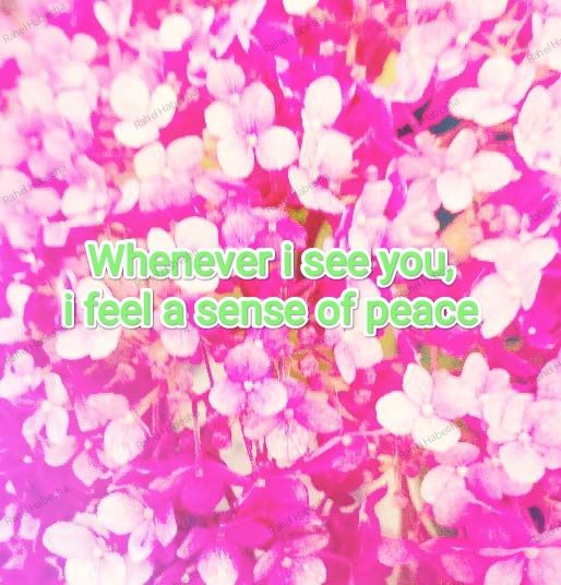 Photo Fyori Posetive-00024