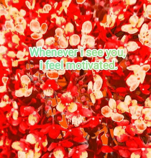 Photo Fyori Posetive-00023