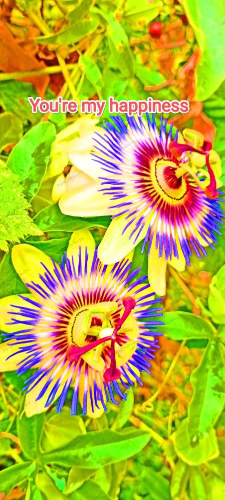 Photo Fyori Posetive-00020