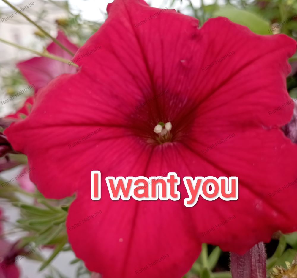 Photo Fyori Posetive-00019