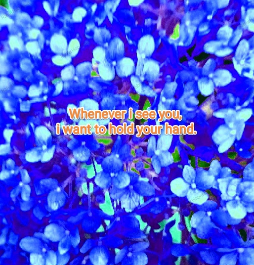 Photo Fyori Posetive-00014