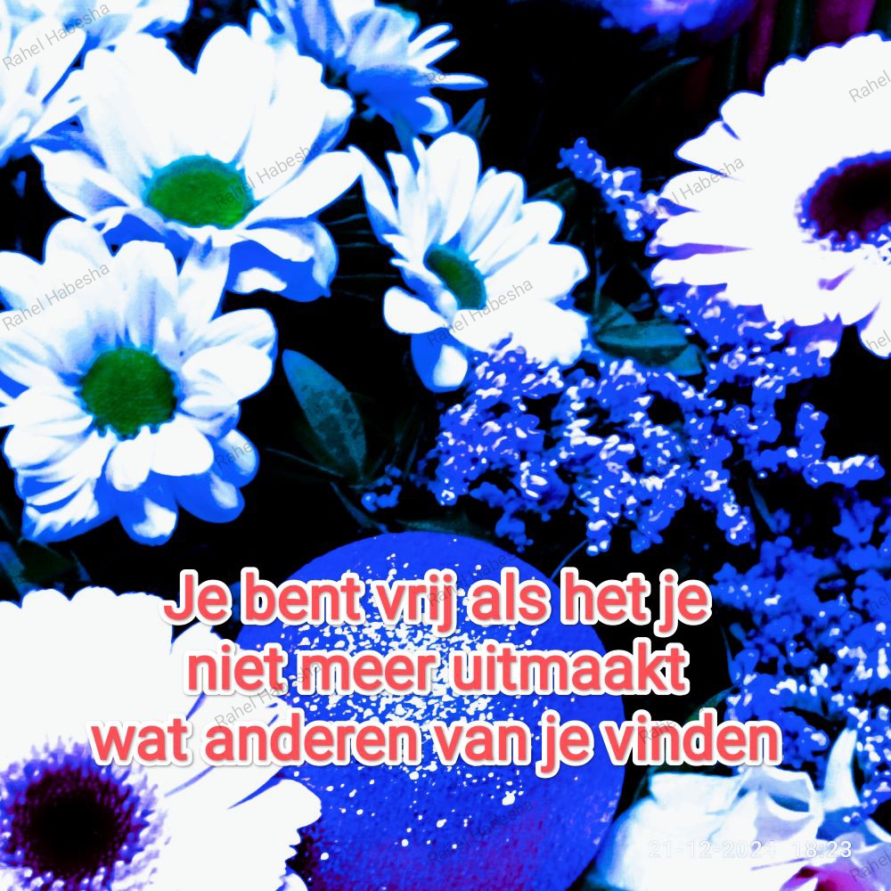 Photo Fyori Posetive-00010