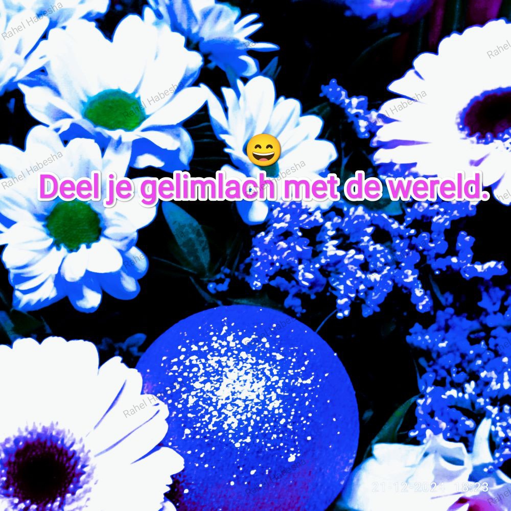 Photo Fyori Posetive-0009