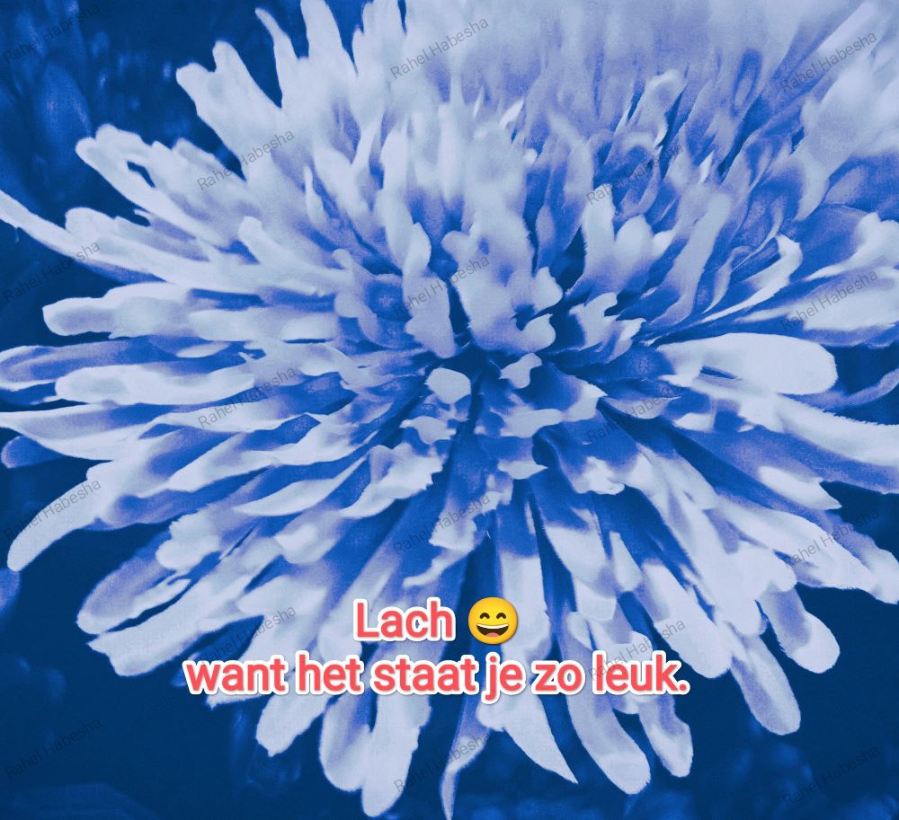 Photo Fyori Posetive-0007