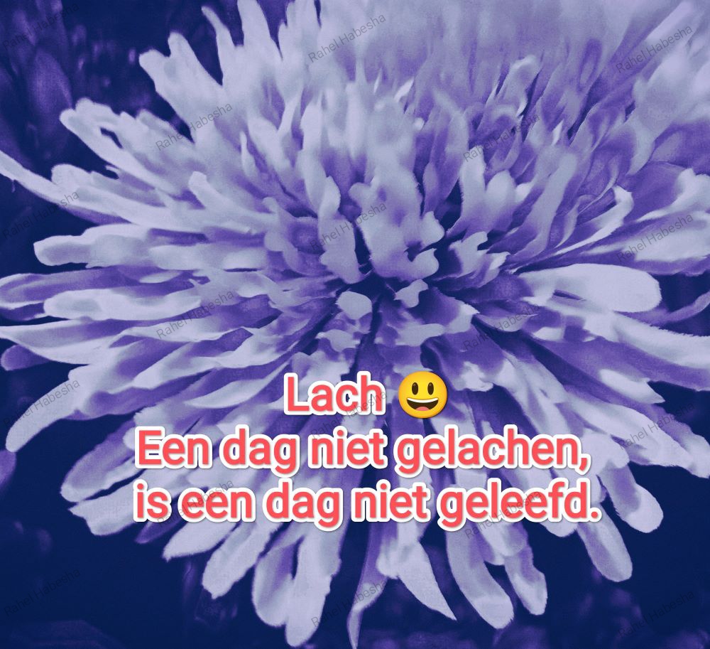 Photo Fyori Posetive-0006