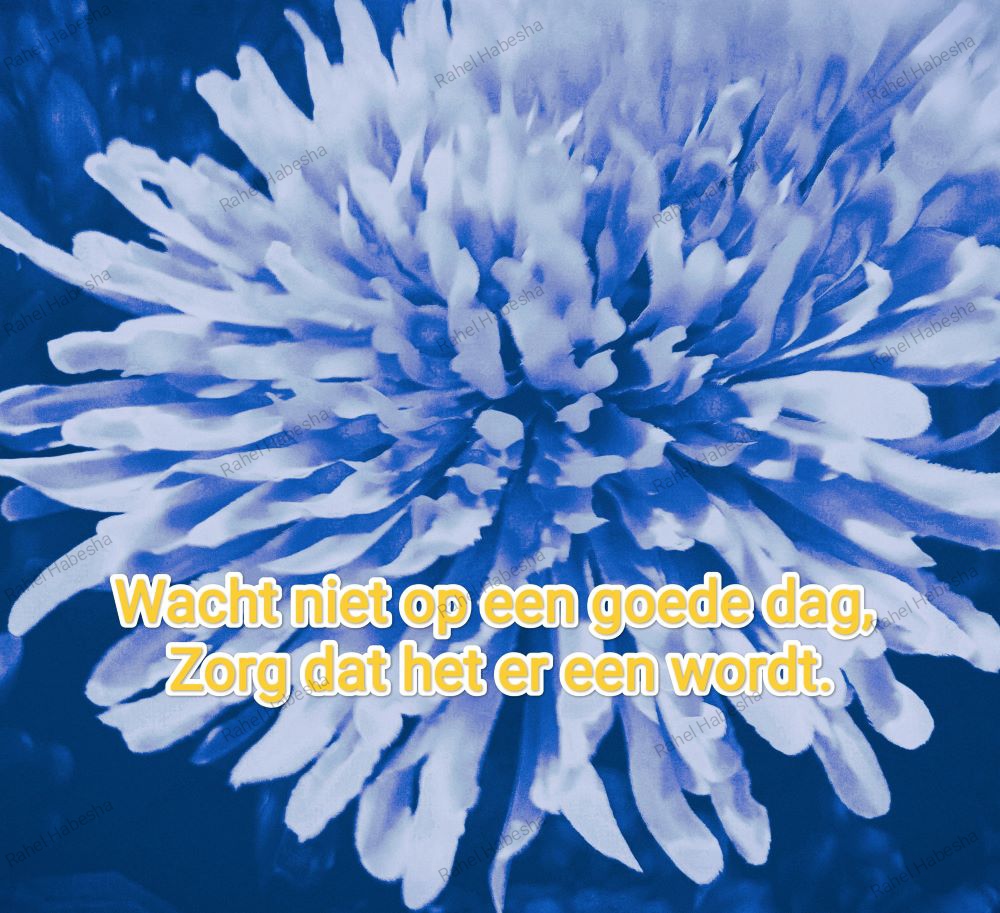 Photo Fyori Posetive-0005