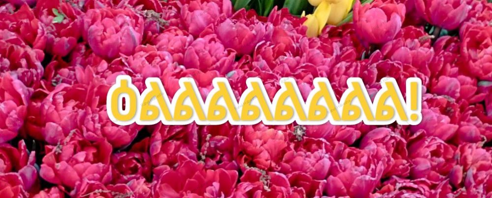 Photo Fyori geez-00024