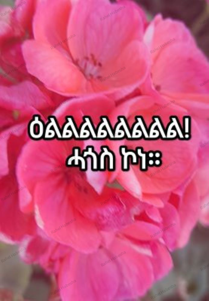 Photo Fyori geez-00023