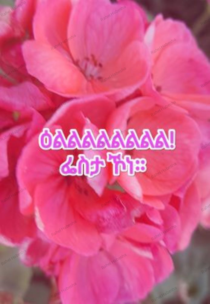 Photo Fyori geez-00022