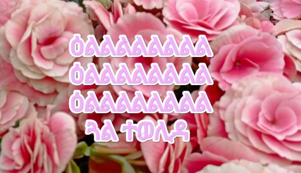 Photo Fyori geez-00021