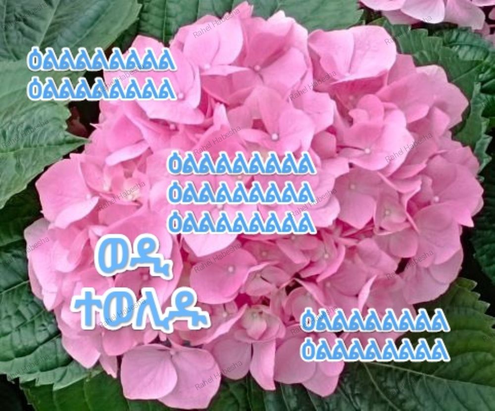 Photo Fyori geez-00019