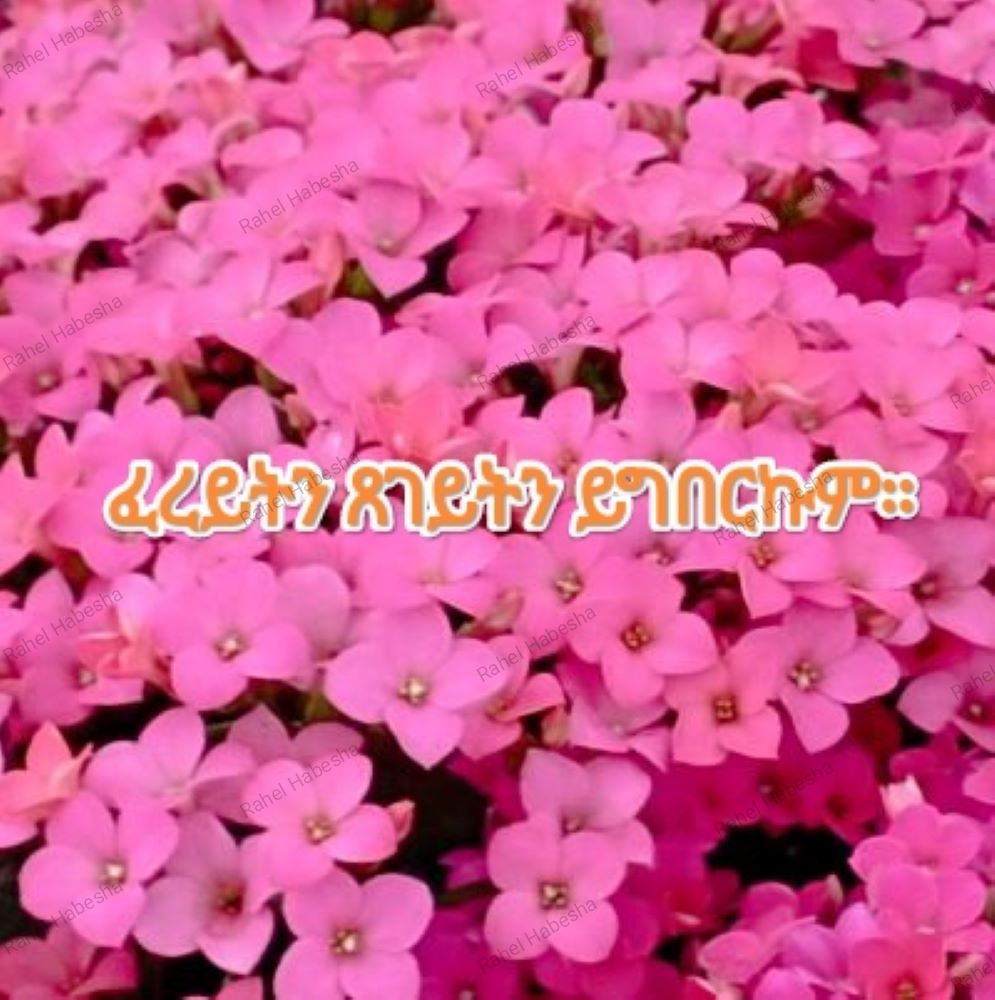 Photo Fyorigeez-00018