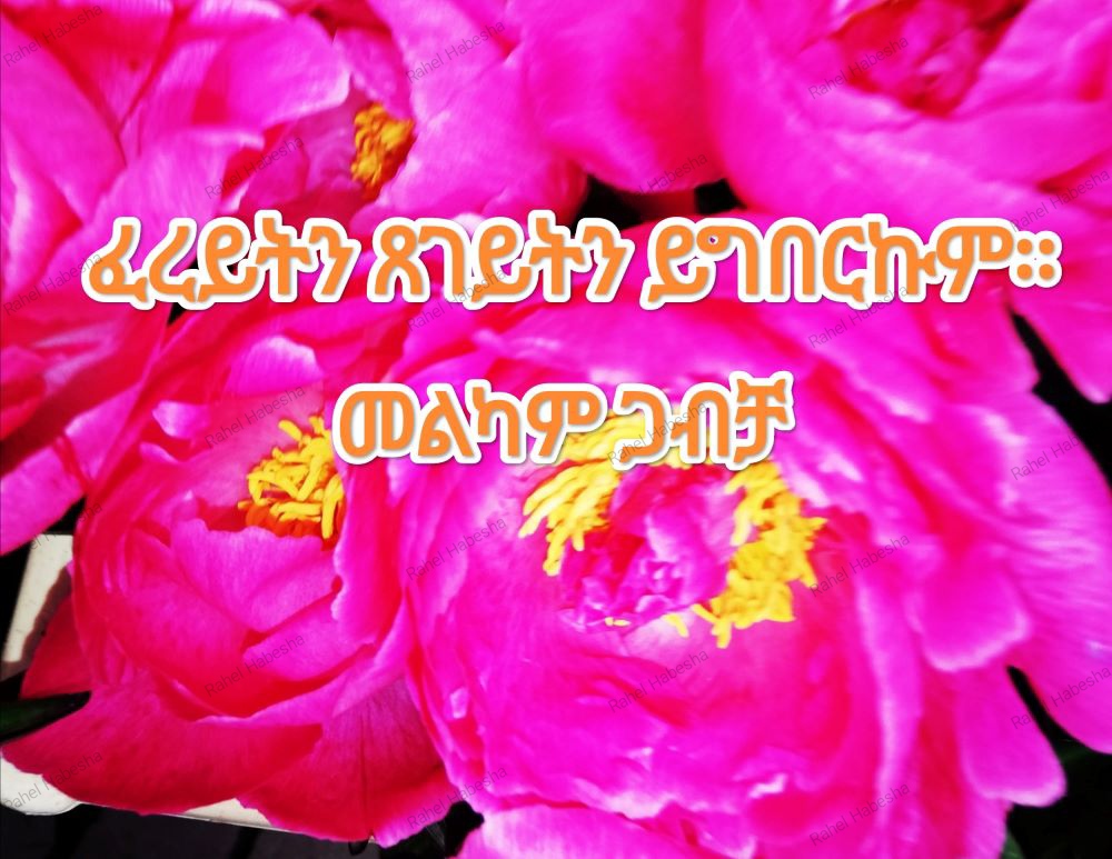 Photo Fyori geez-00016