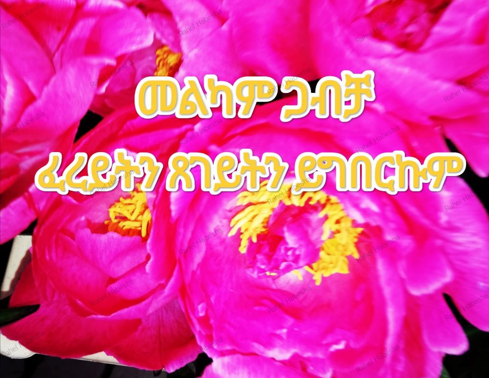 Photo Fyori geez-00015