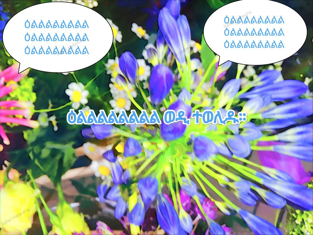 Photo Fyori geez-0001 3