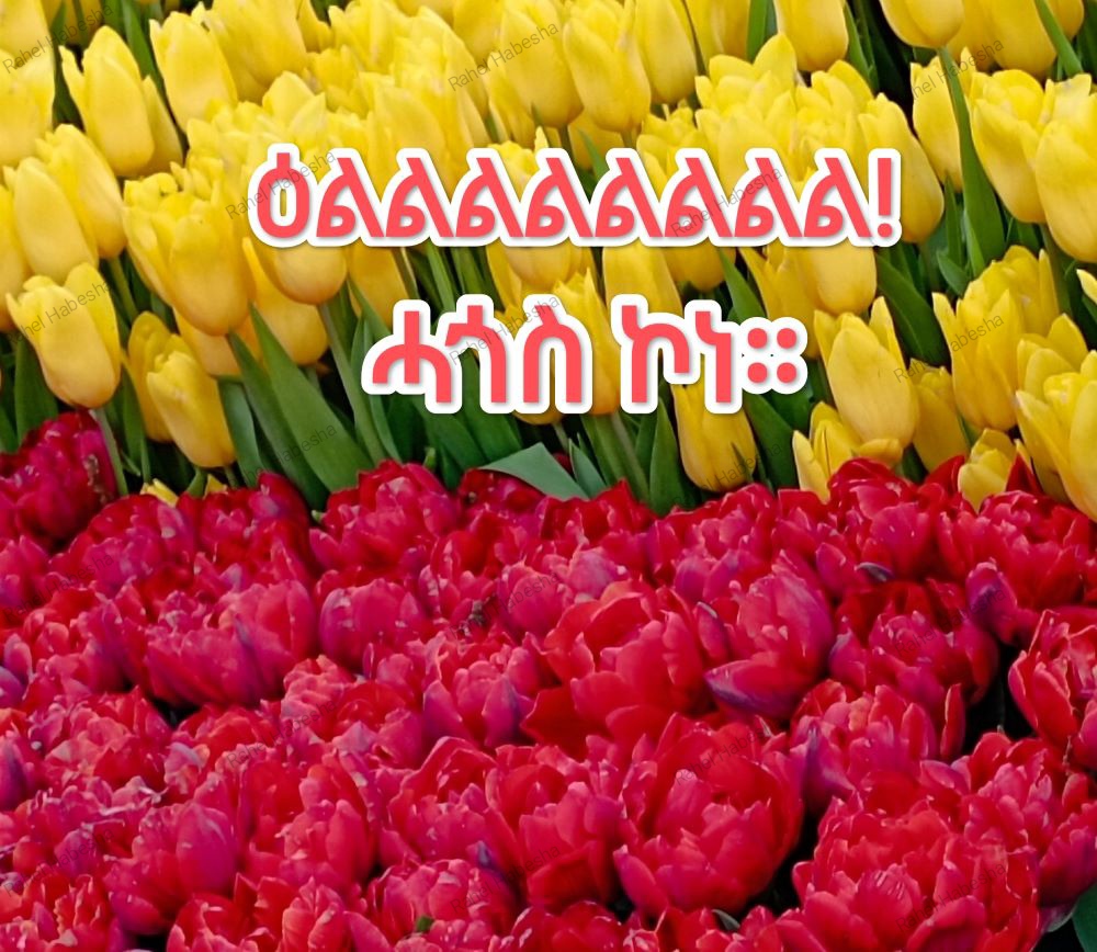 Photo Fyori geez-0001 2