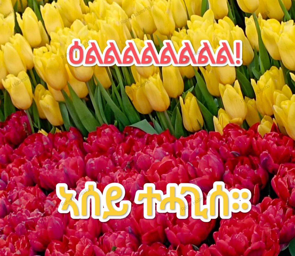 Photo Fyori geez-00011