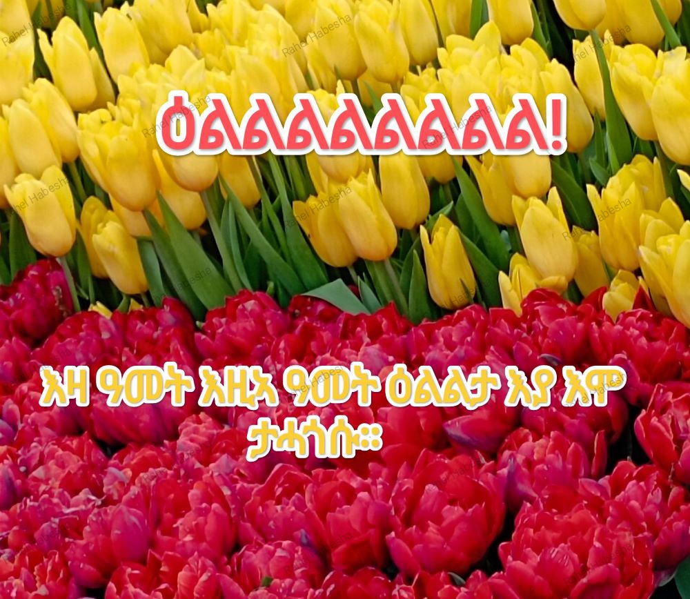 Photo Fyori geez-0009