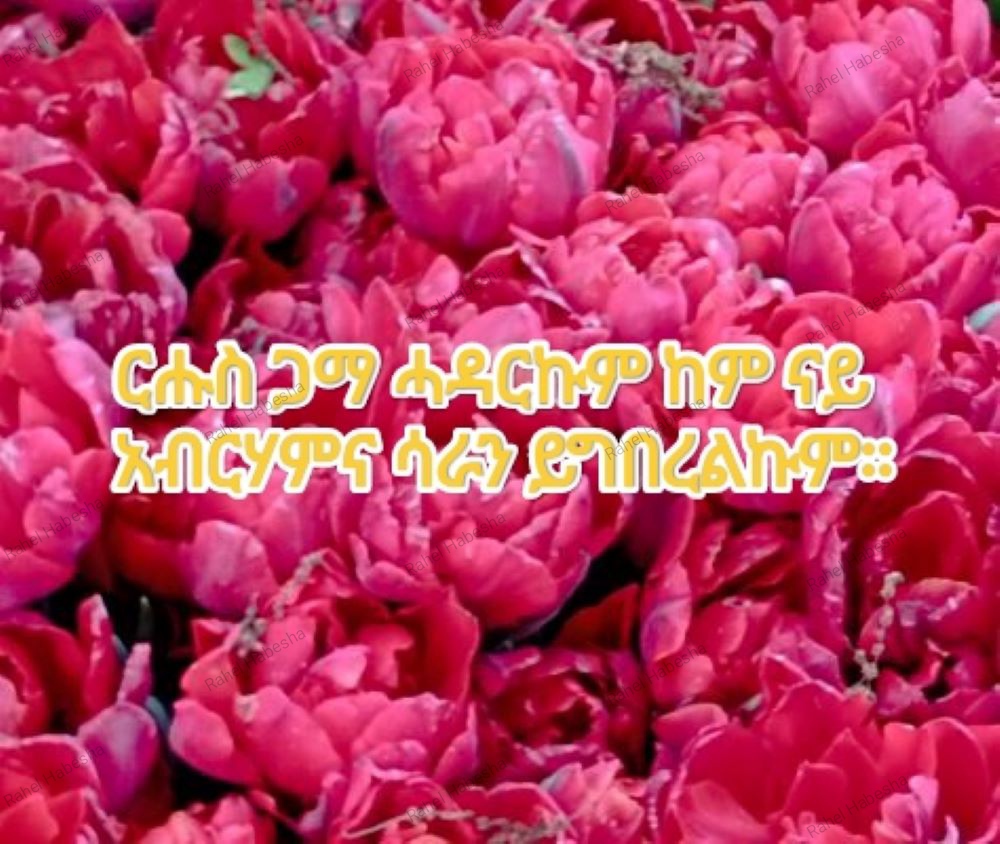 Photo Fyori geez-0008