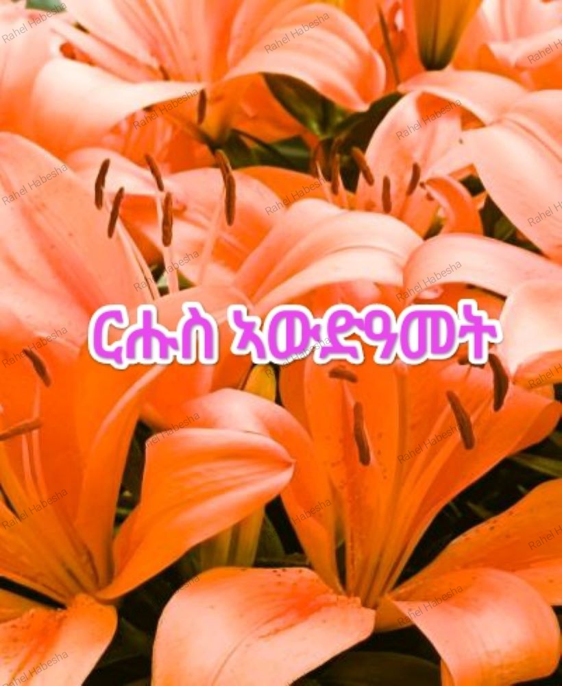 Photo Fyori geez-0006