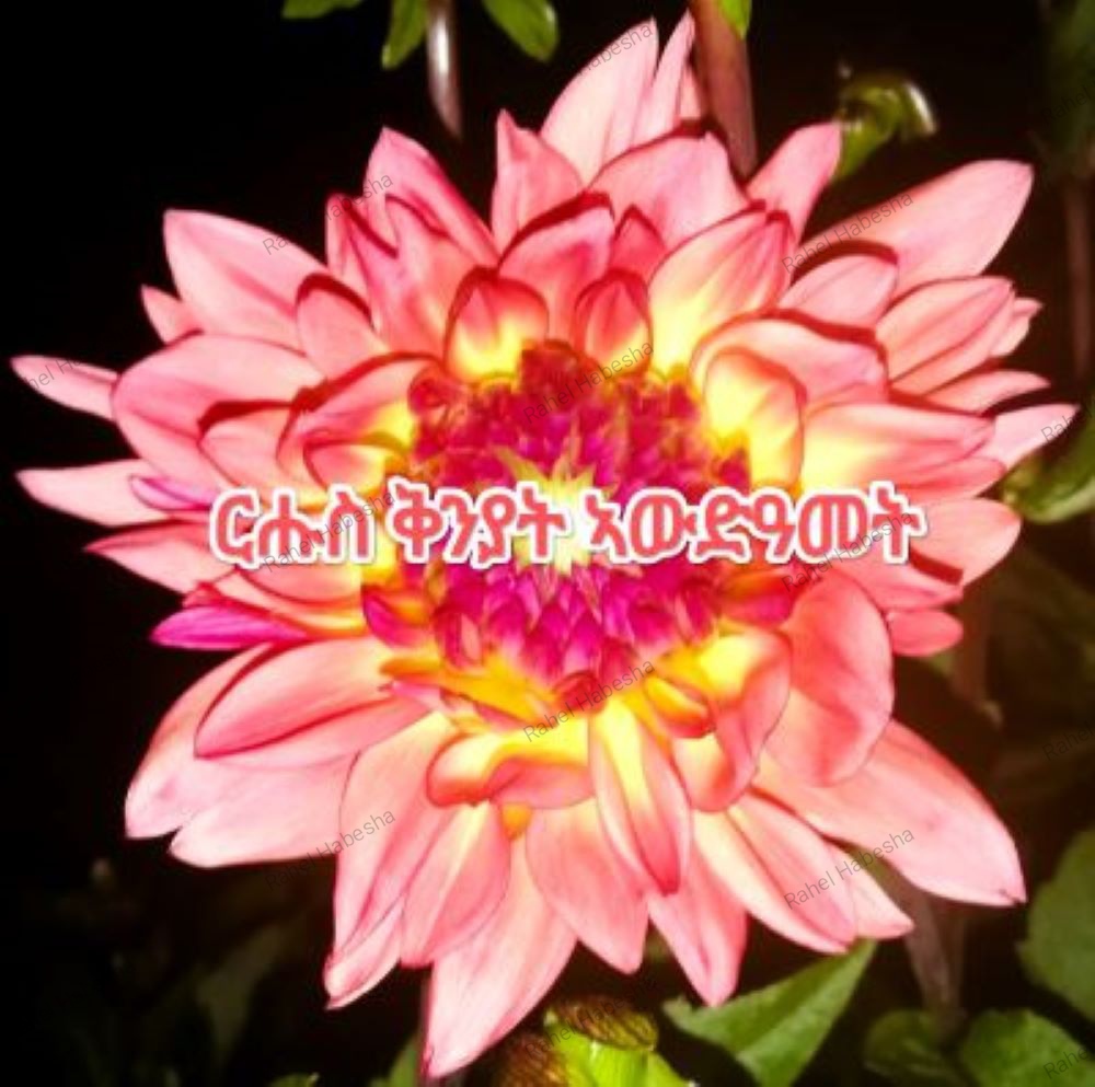 Photo Fyori geez-0005