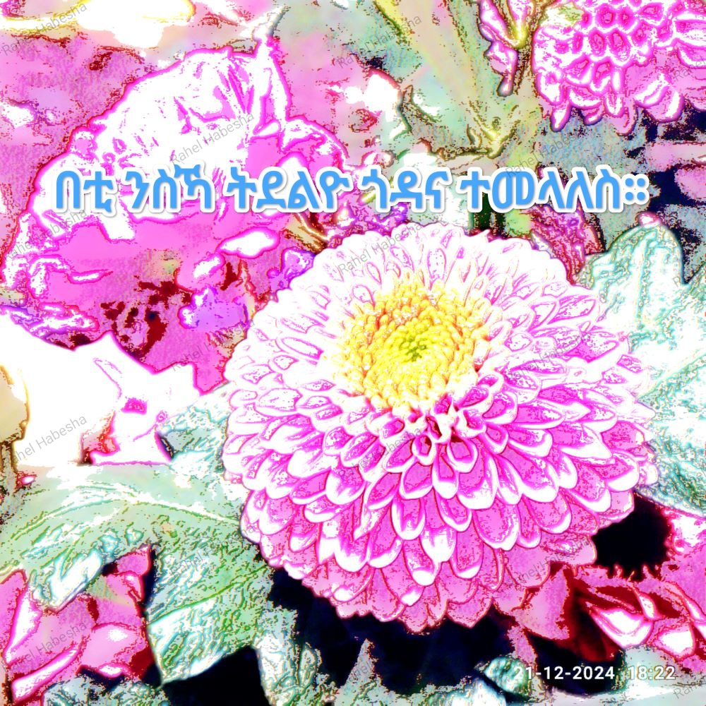 Photo Fyori geez-0004