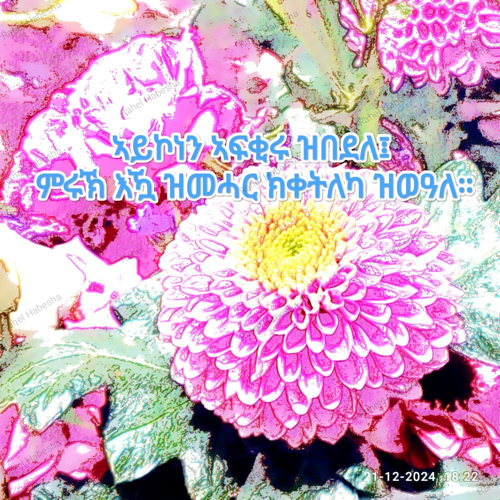 Photo Fyori geez-0002