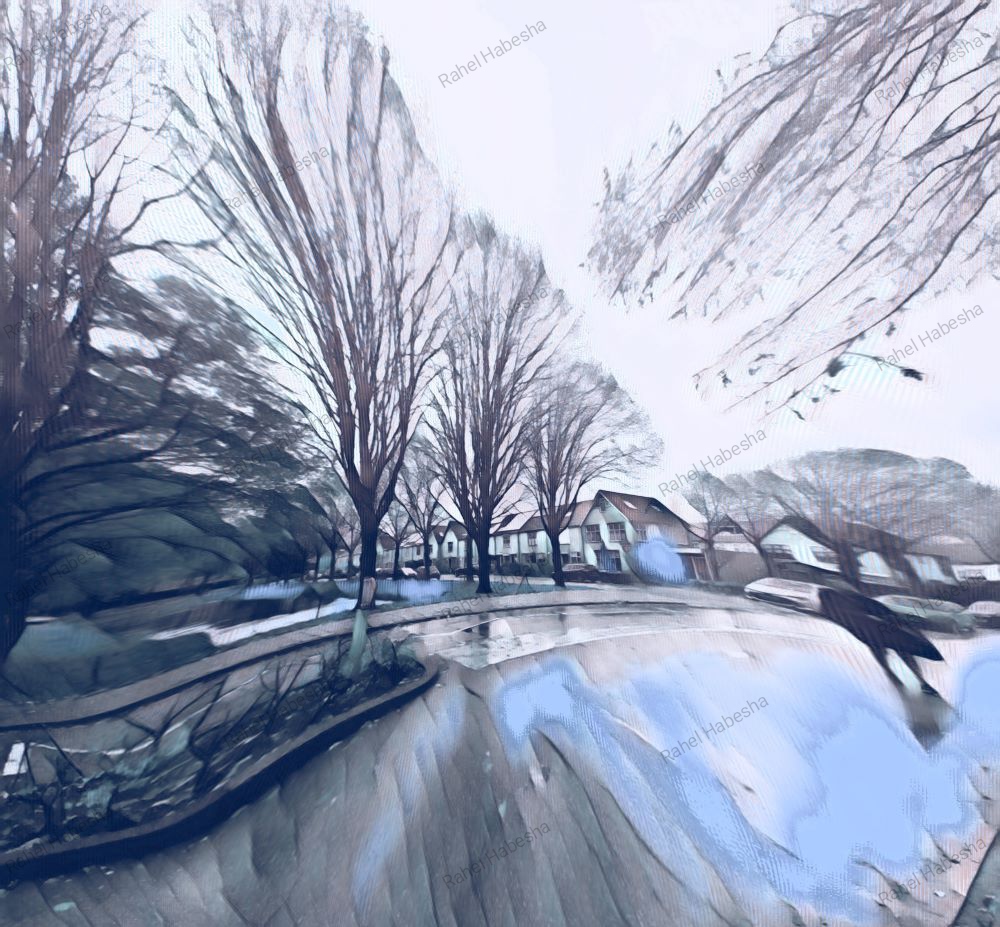 Photo Veenendaal-0008