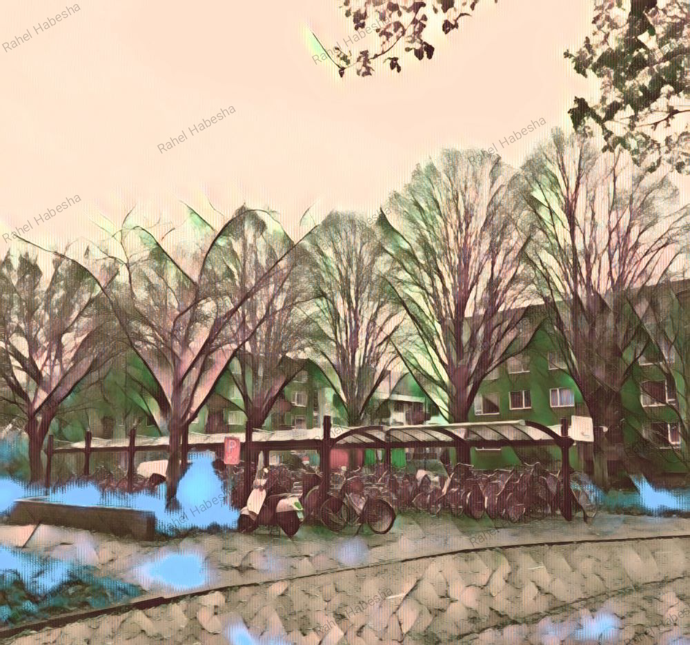 Photo Veenendaal-0007