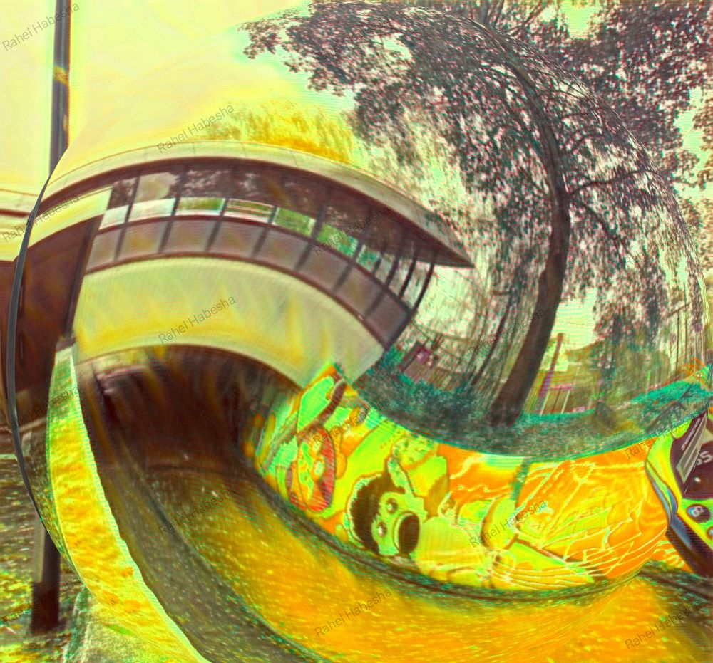 Photo Veenendaal-0006