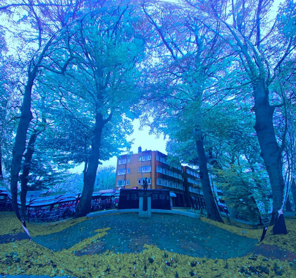 Photo Veenendaal-0005