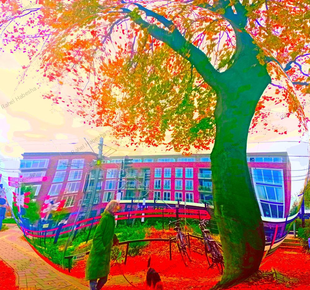 Photo Veenendaal-0004