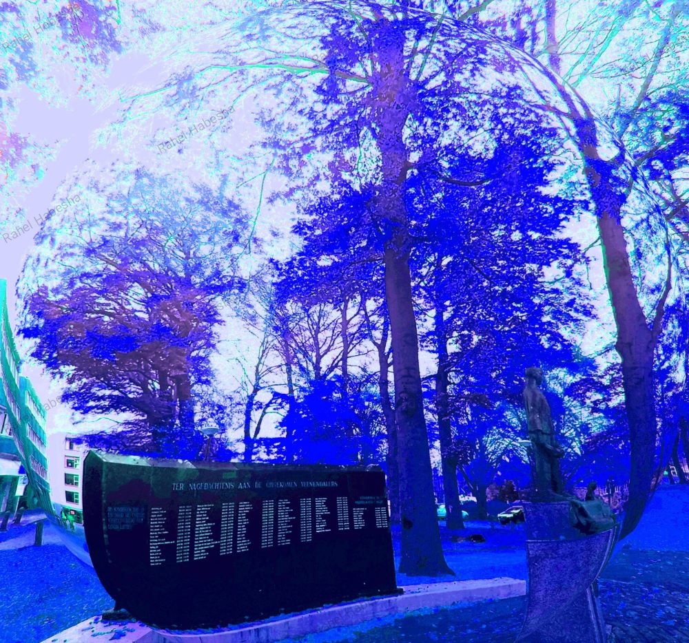 Photo Veenendaal-0003