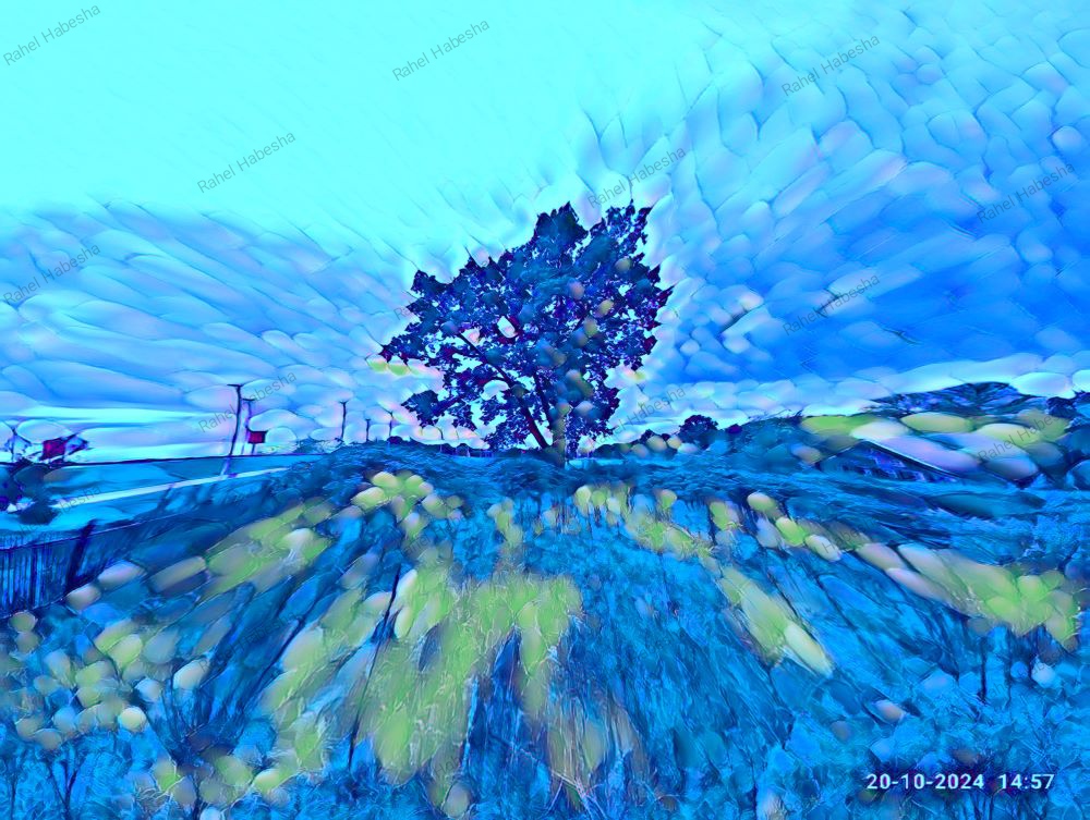 Photo Driebergen-00033