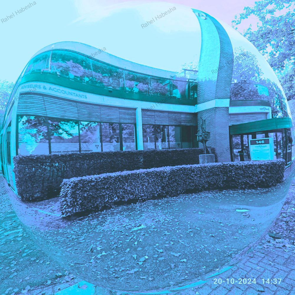 Photo Driebergen-00026