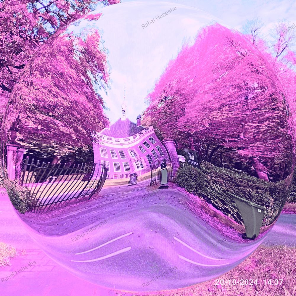 Photo Driebergen-00024