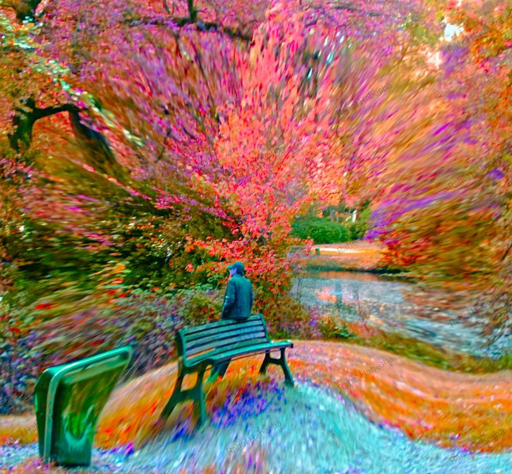 Photo Driebergen-00022