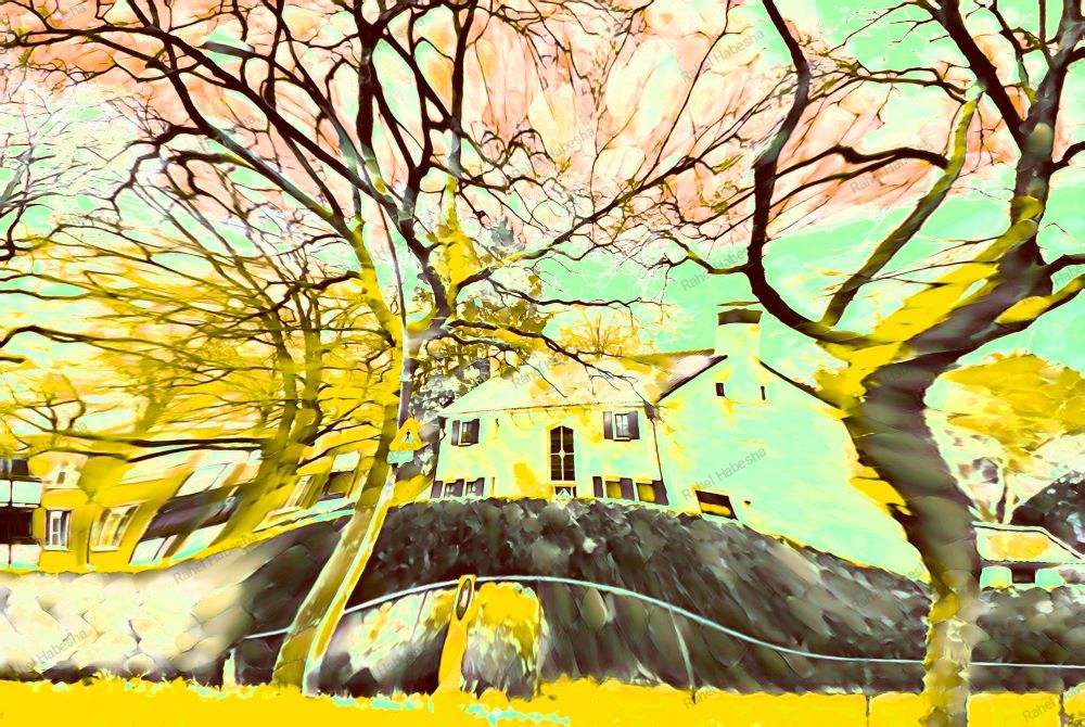 Photo Driebergen-0003