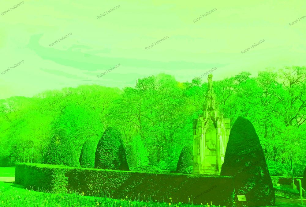 Photo Driebergen-0001