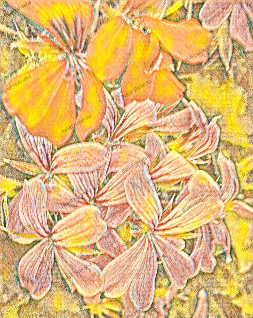 Birth card baby boy-0006