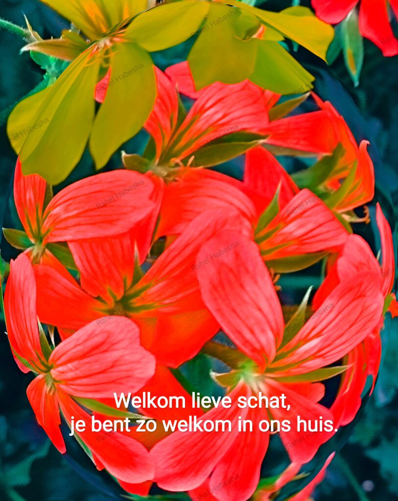 Birth card baby Girl-00021