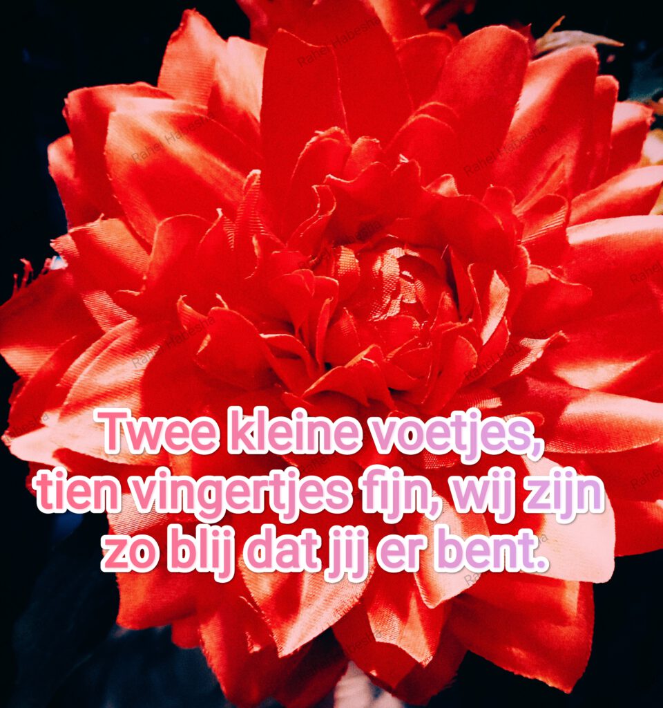 Birth card baby Girl-00018